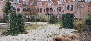 5_Pat Hof_maart 2023_3