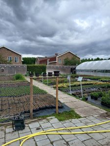 foto 1, kwekerij van asvz_dagactiviteit (Website)