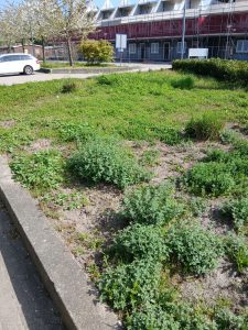 foto 3, kansen voor kwaliteitsverbetering (Website)