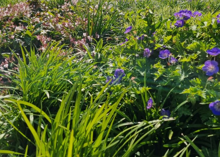 Raamcontract Amsterdam 2