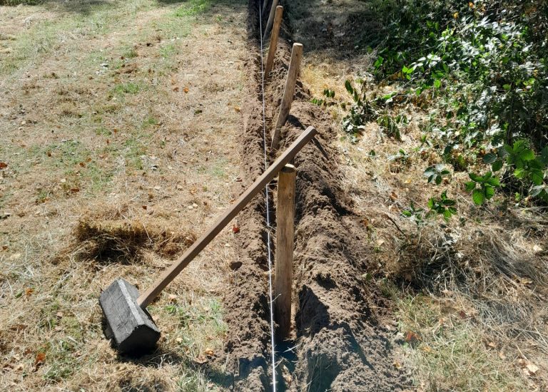 TCL ecologie 4
