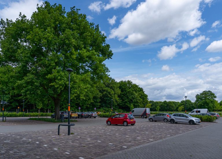 De Ginkel nieuwsitem (1)