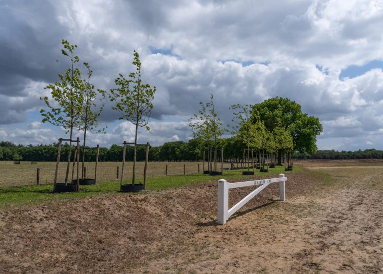 De Ginkel nieuwsitem (6)