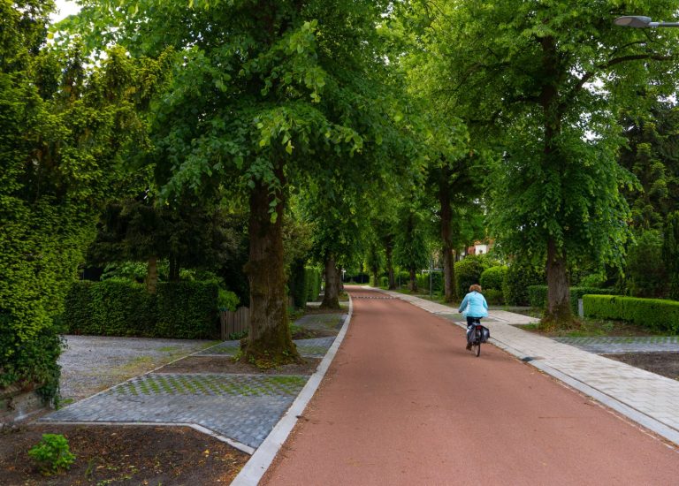 straatbeeld (1) (Website)